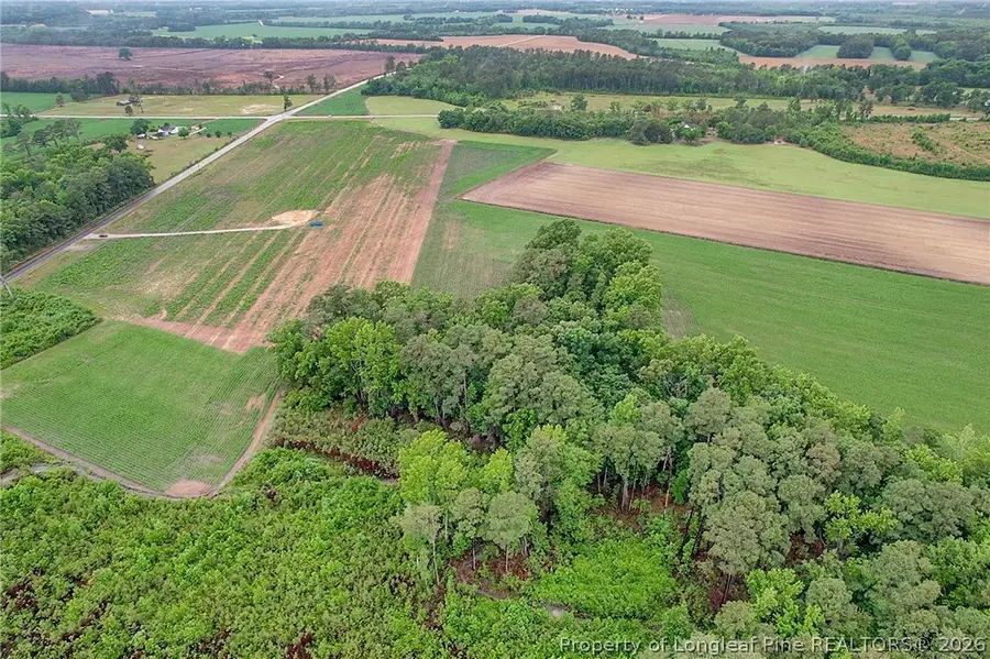Lot 9 Buie Philadelphus Road, Red Springs, NC 28377 - #3