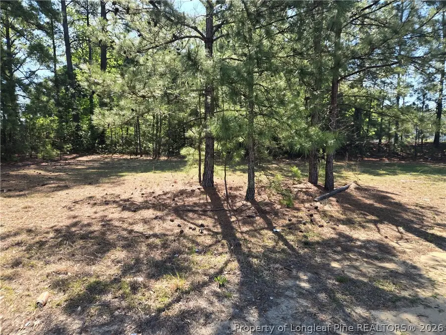 1322 Ramsey Street, Fayetteville, NC 28301 - #2