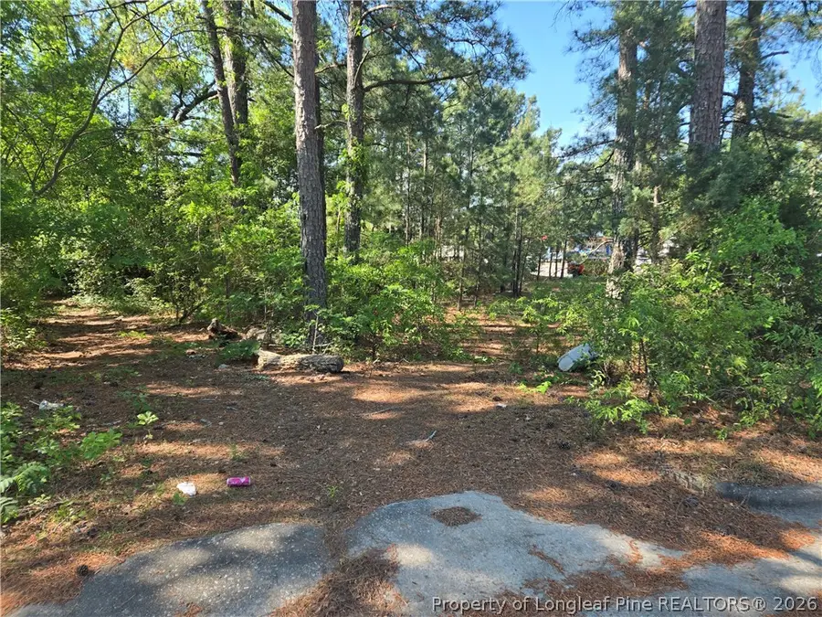 1322 Ramsey Street, Fayetteville, NC 28301 - #3