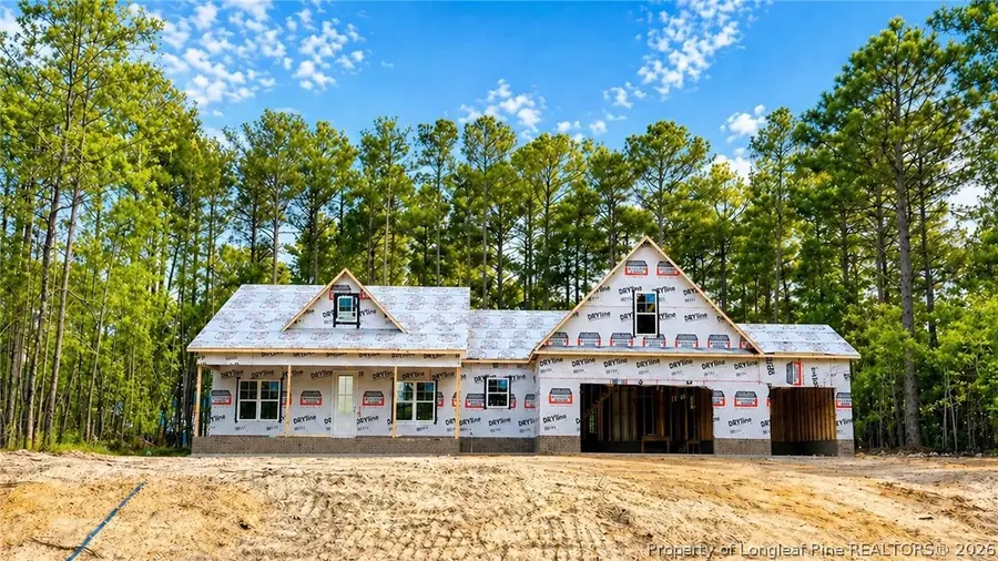 26640 Peach Orchard Road, Wagram, NC 28396 - #3