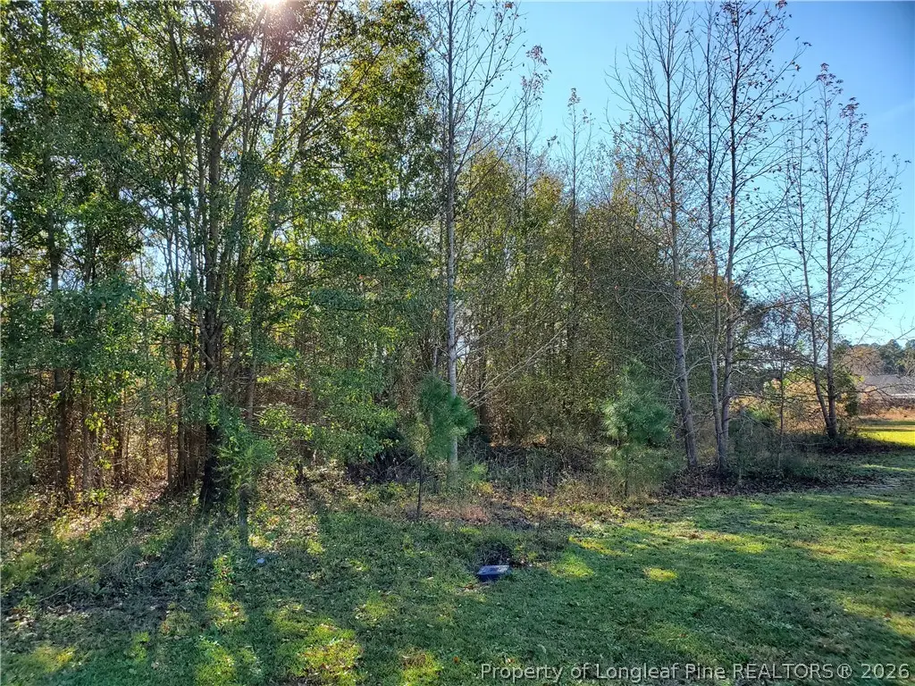 220 & 217 Kendall Court, Raeford, NC 28376 - #1