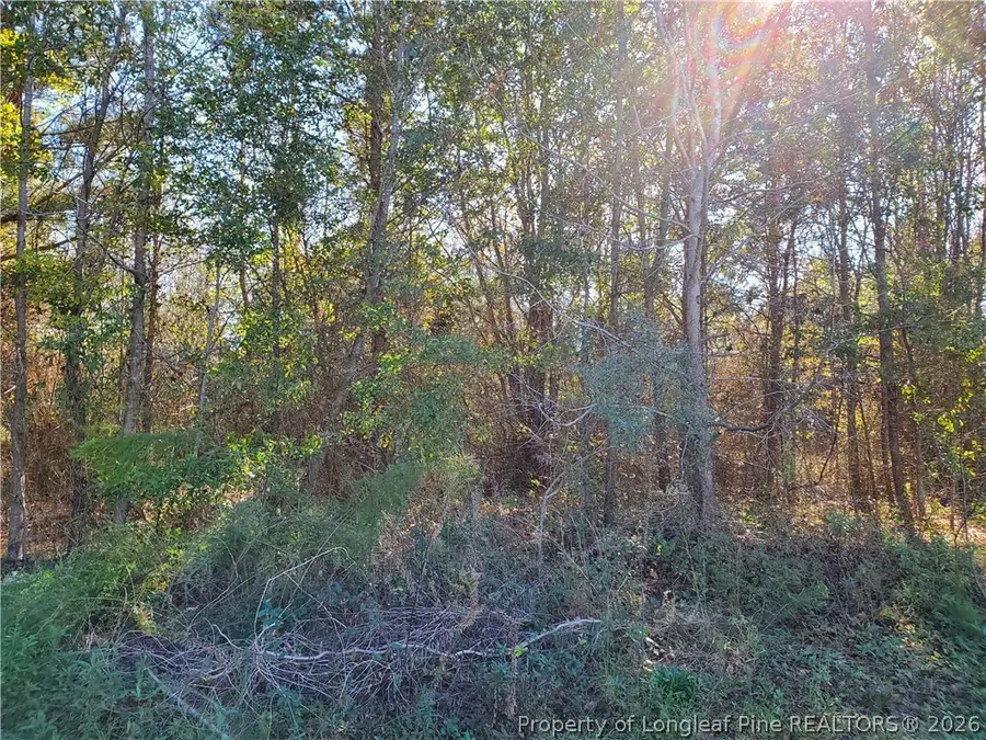 220 & 217 Kendall Court, Raeford, NC 28376 - #2