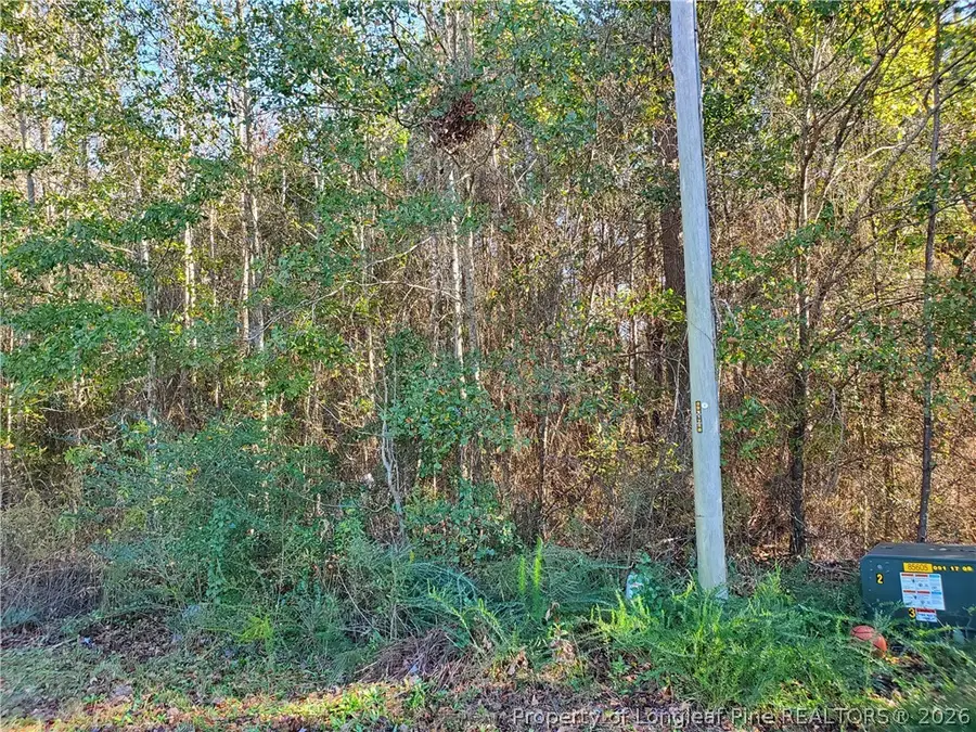 220 & 217 Kendall Court, Raeford, NC 28376 - #3