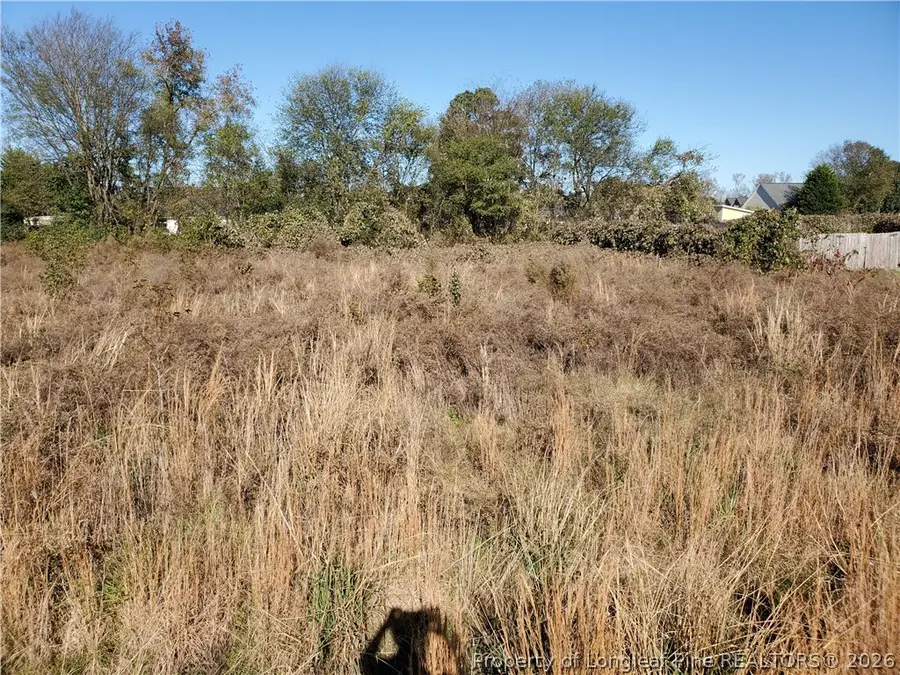 280, 300, 320, 340, 360 Hidalgo Drive, Raeford, NC 28376 - #2