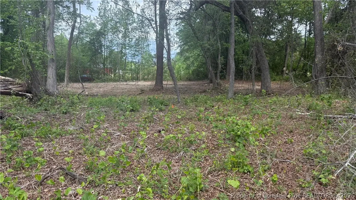 Mcdougald Road, Broadway, NC 27505 - #1
