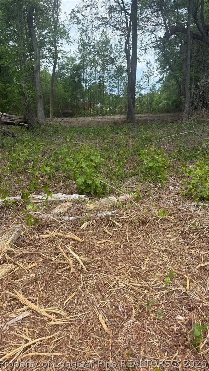 Mcdougald Road, Broadway, NC 27505 - #2