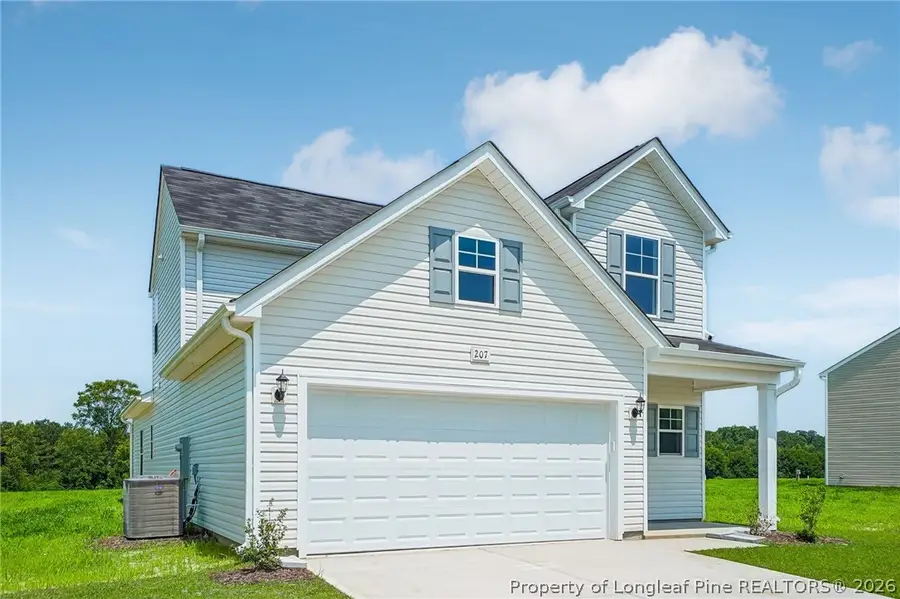 207 Hallwood Drive, Pikeville, NC 27863 - #3