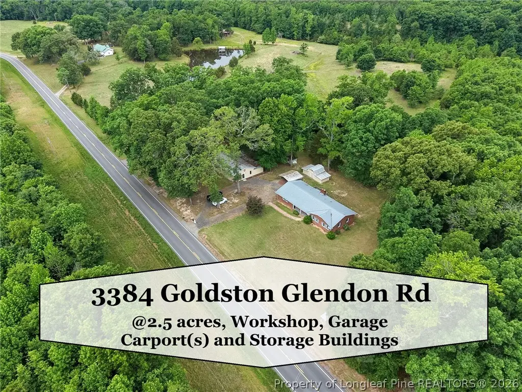 3384 Goldston Glendon Road, Goldston, NC 27252 - #1