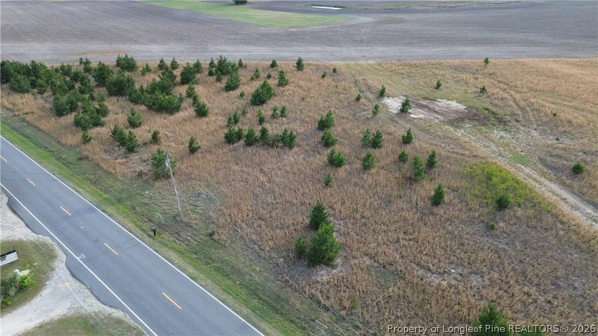 Lot 2 Fairley Road, Maxton, NC 28364 - #1
