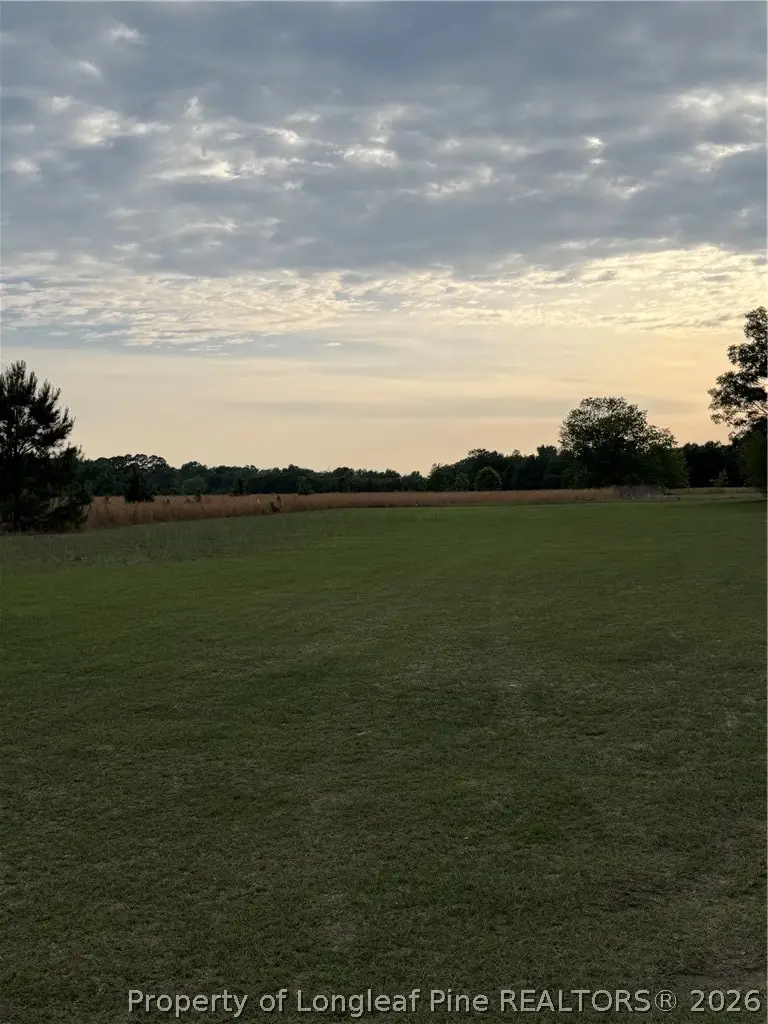 Lot 9 Fairley Road, Maxton, NC 28364 - #1