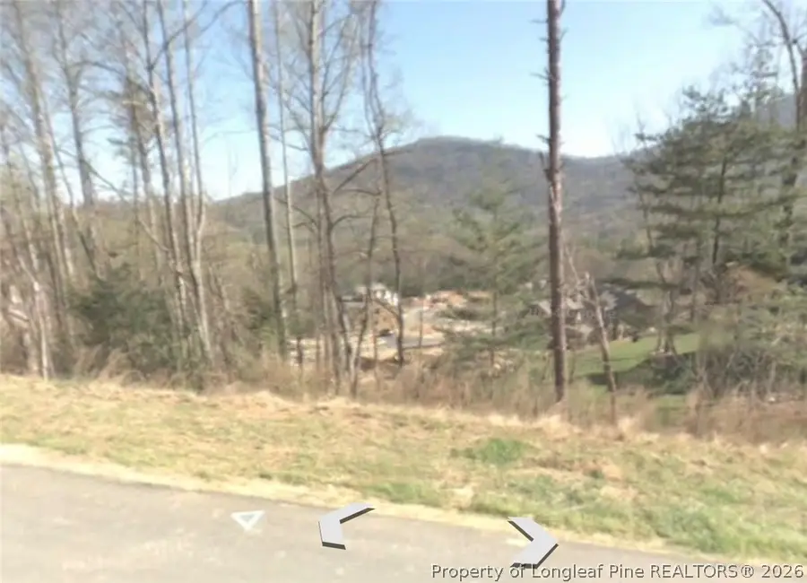 94 Village Pointe Lane, Asheville, NC 28803 - #2