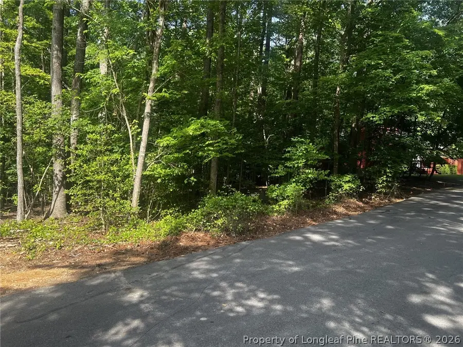 992 Whistling Wind, Sanford, NC 27332 - #3