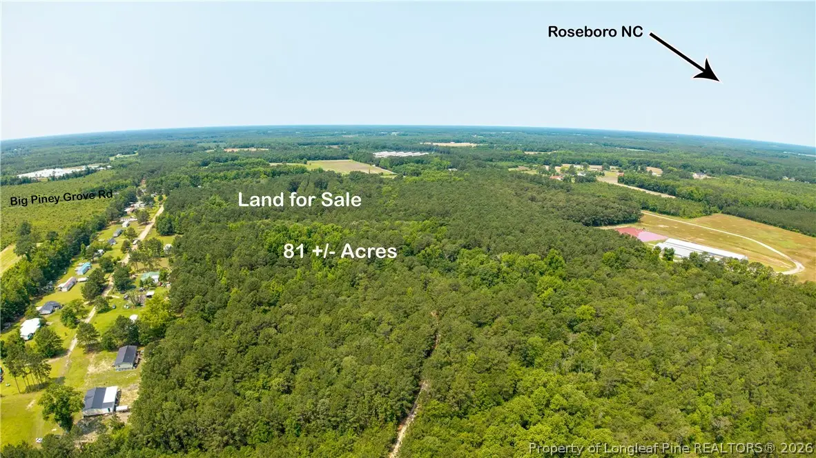 Big Piney Grove Road, Clinton, NC 28328 - #1