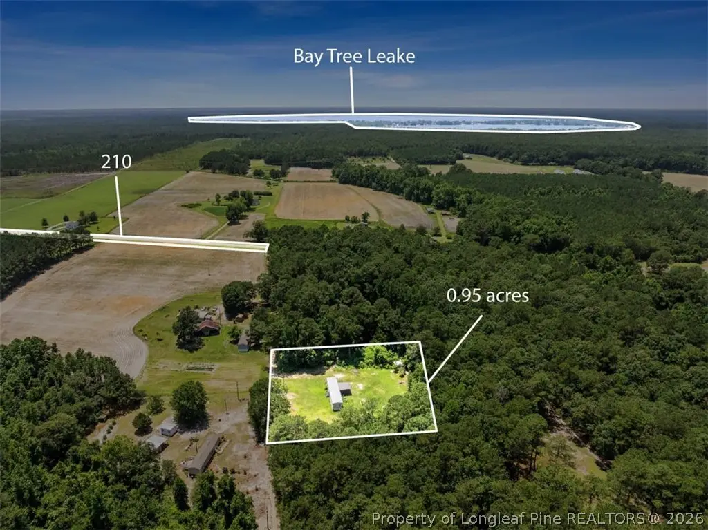 145 Opossum Ln, Harrells, NC 28444 - #1