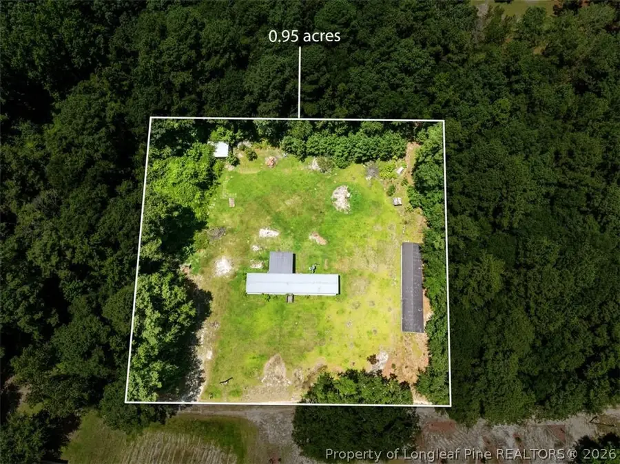 145 Opossum Ln, Harrells, NC 28444 - #2