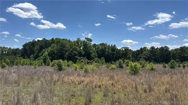 Snipes Road, Red Springs, NC 20747