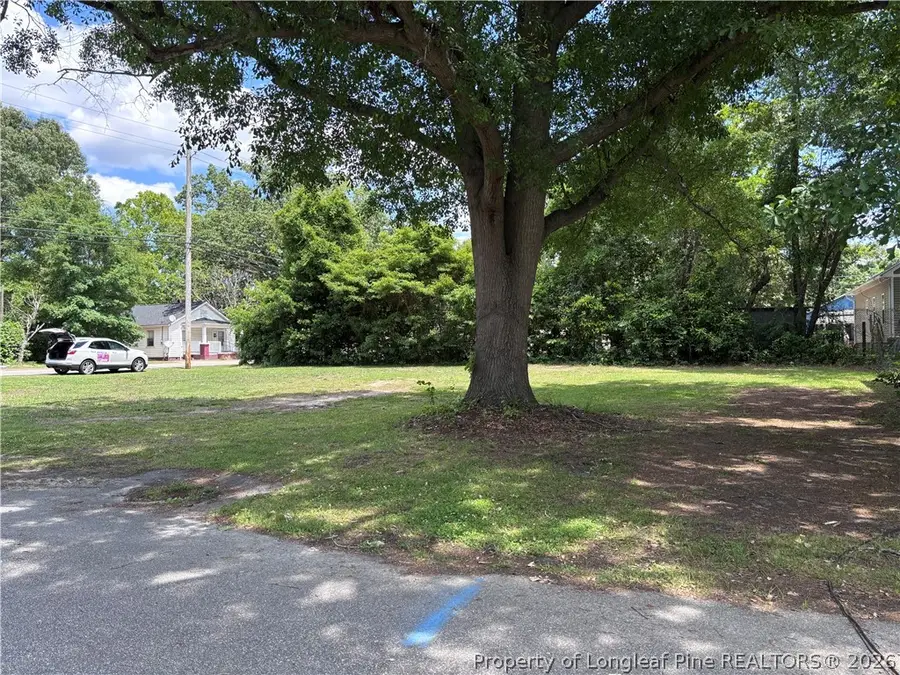 162 Coleman Street, Lumberton, NC 28358 - #3