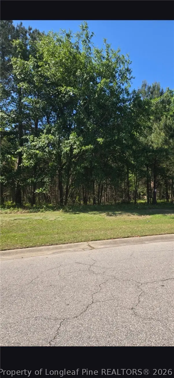 4028 S Main St & Edwin Deaver Street, Hope Mills, NC 28348 - #2