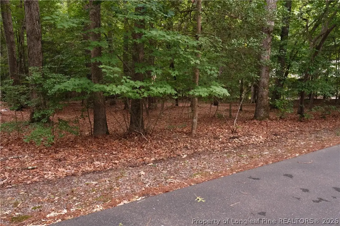 1146 Deerfoot Trail, Sanford, NC 27332 - #1