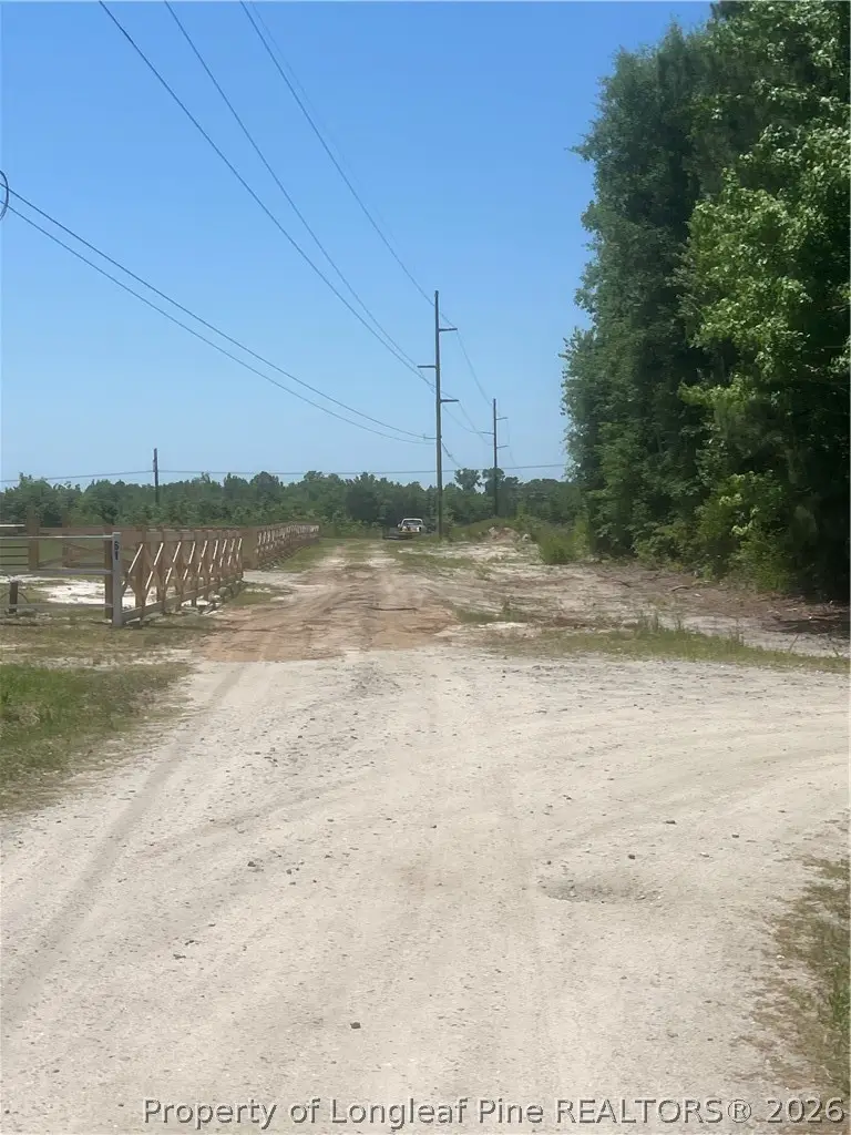 Harleyville Road, Rowland, NC 28383 - #3