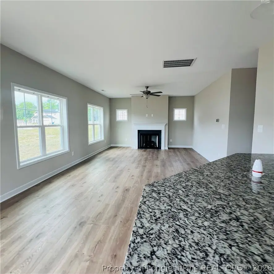 78 Hungry Creek Drive, Erwin, NC 28339 - #2