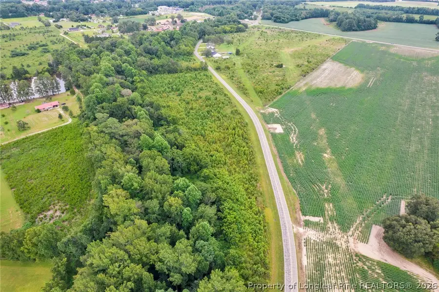 Wallace Mclean Road, Raeford, NC 28376 - #3