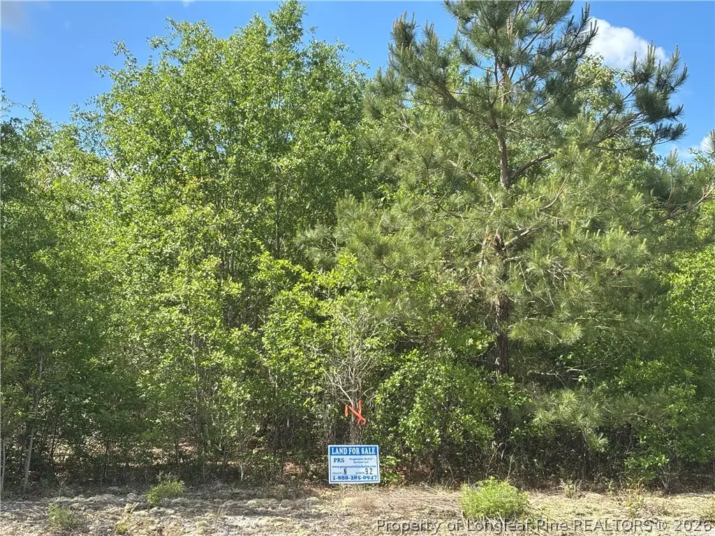 Johnson Road, Fayetteville, NC 28312 - #1