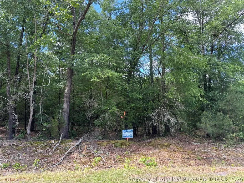 Johnson Road, Fayetteville, NC 28312 - #1