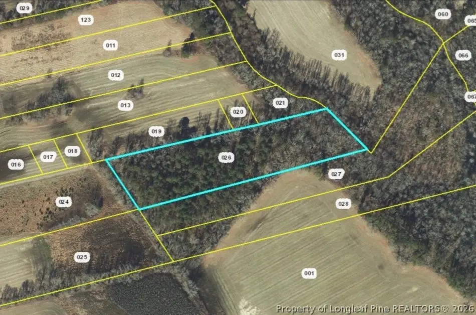 Walter Gibson Road, Raeford, NC 28376 - #1