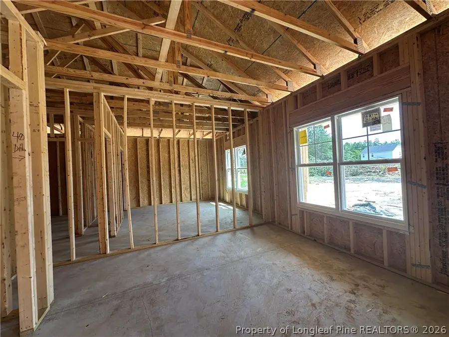 175 Blessing Lane, Raeford, NC 28376 - #3