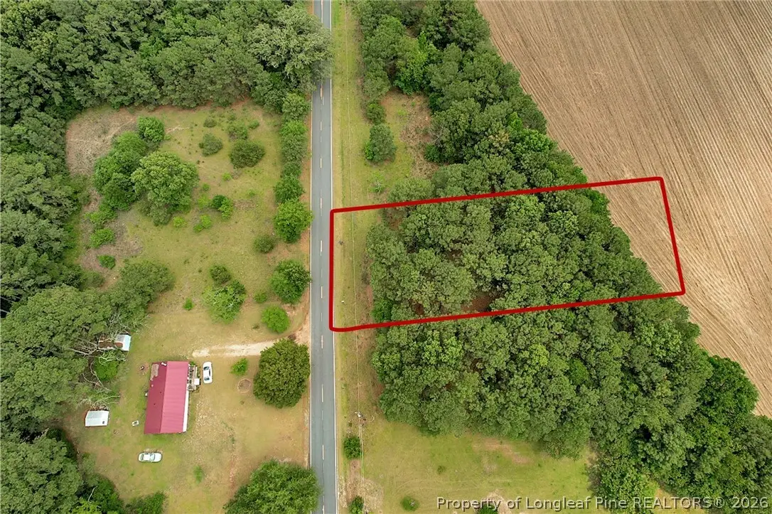 TBD Quick Road, Lumber Bridge, NC 28357 - #1