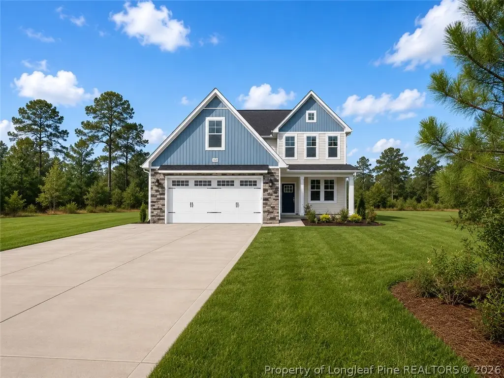 189 Blackburn Farm (lot 12) Drive, McLauchlin, NC 28311 - #1