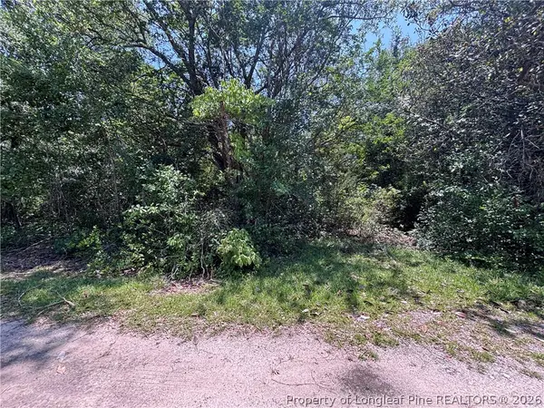 Stevens Street, Raeford, NC 28376