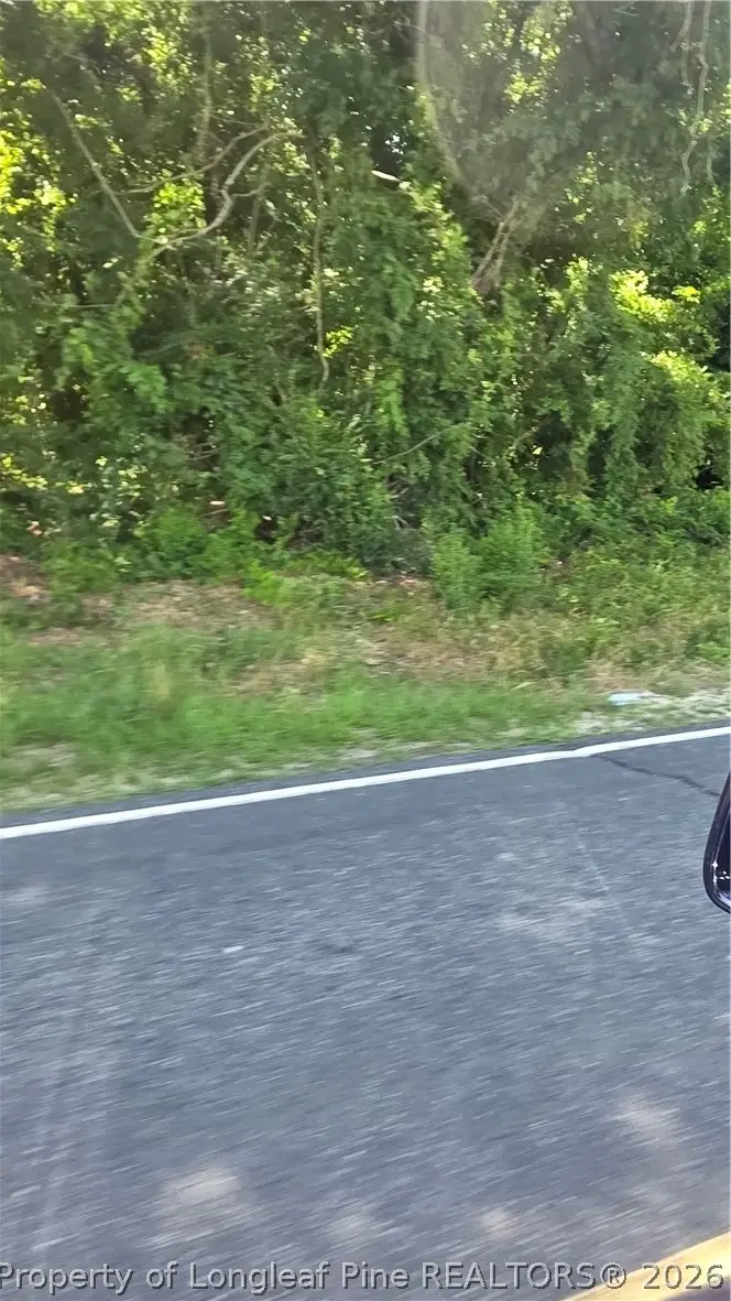 Lakewood School Road, Salemburg, NC 28385 - #2