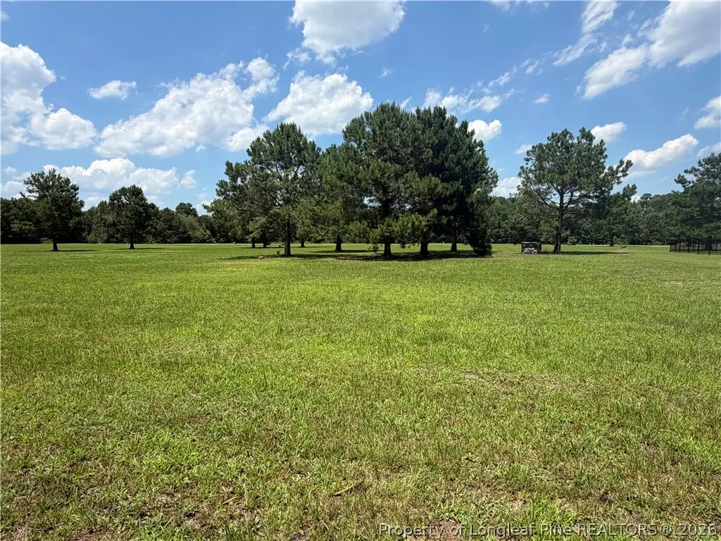Lt 94 Old Tower Road, Lumberton, NC 28360 - #1