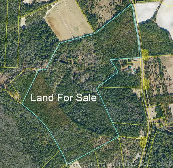 Live Oak Methodist Church Road, White Oak, NC 28399