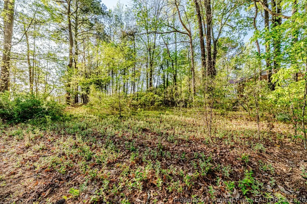 0 Hillwood Street, Sanford, NC 27330 - #1