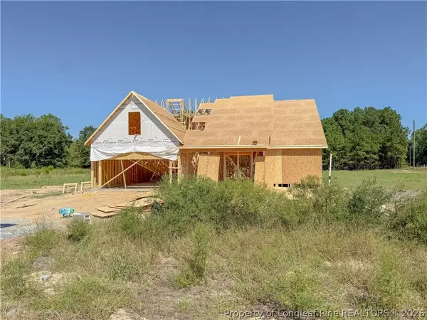16 Rolands Ridge (lot 1) Road, Autryville, NC 28318