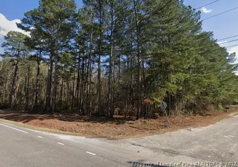 0 Pine Log Road, Lumberton, NC 28384