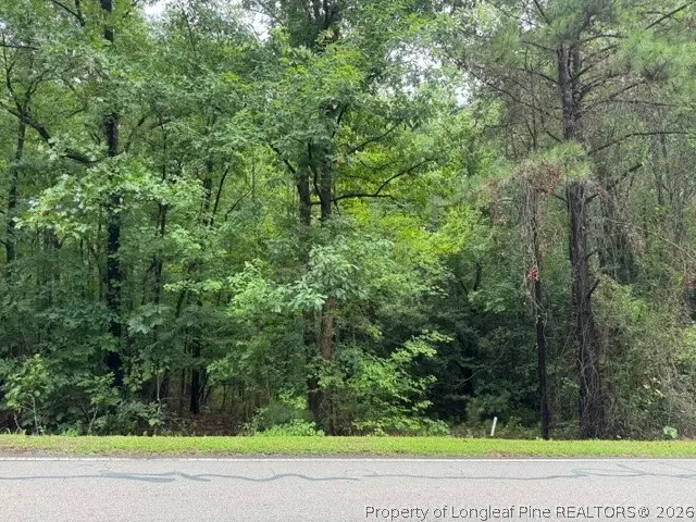 0 Carolina Way, Sanford, NC 27332 - #2