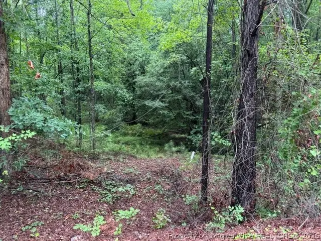 0 Carolina Way, Sanford, NC 27332 - #3
