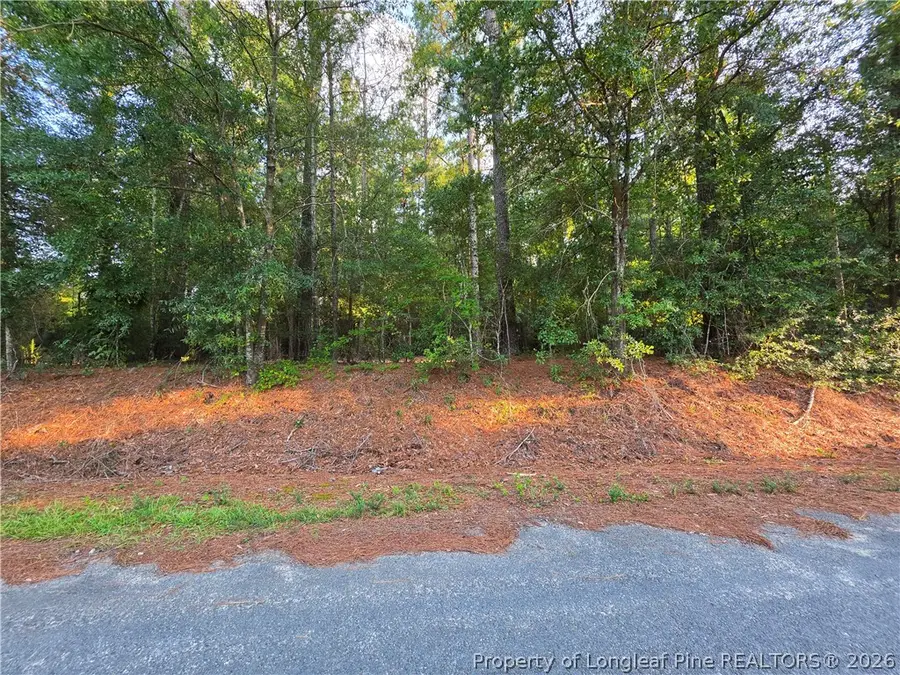 0 Eastman Road, Southern Pines, NC 28387 - #3