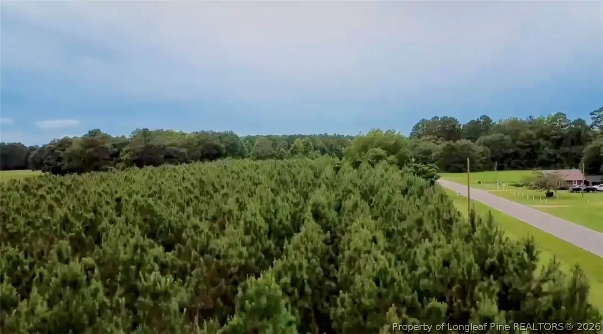 Nc Hwy. 904 Highway W, Fairmont, NC 28340 - #1