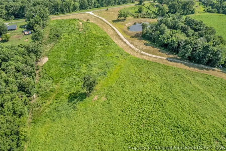 00 Laia Hills (lot 2) Road, Siler City, NC 27344 - #3