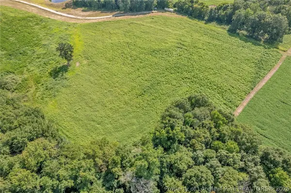 00 Laia Hills (lot 5) Road, Siler City, NC 27344