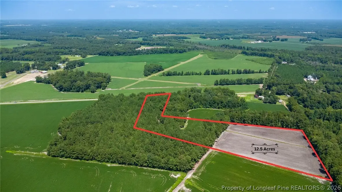 TBD Balfour Road, Lumber Bridge, NC 28357 - #1