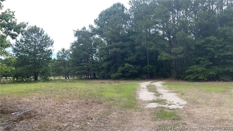 Sanderosa (0477-88-0601) Road, Fayetteville, NC 28312 - #2
