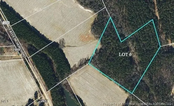 0 Leaflet Church Road, Broadway, NC 27505 - #2