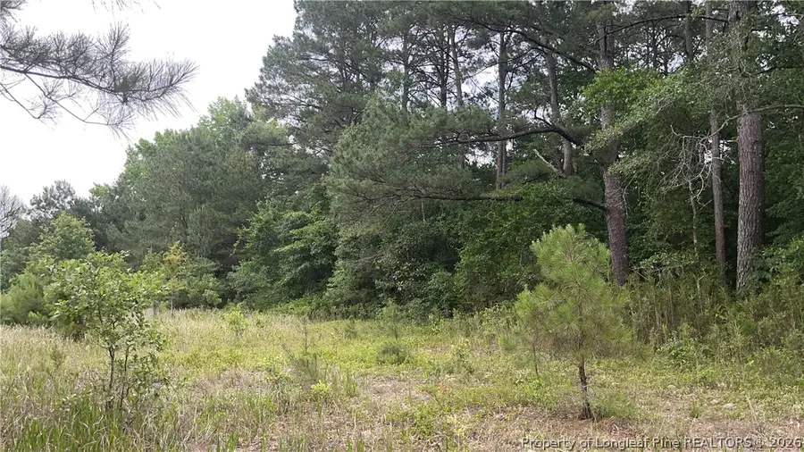 Sanderosa (0477-88-1702) Road, Fayetteville, NC 28312 - #2