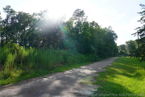 LOT 6 Lakeview Drive, Red Springs, NC 28377